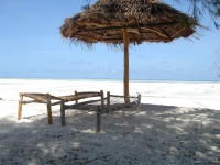 Stranden. (Zanzibar, Tanzania)