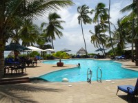 Swimmingpool och palmer. (Zanzibar, Tanzania)