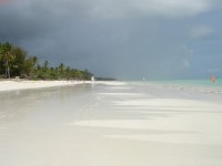 Stranden vid Bluebay Beach Resort. (Zanzibar, Tanzania)