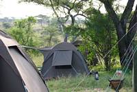 Mobil tältcamp. (Centrala Serengeti National Park, Tanzania)
