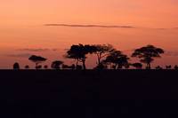 Gryning över Moru Kopjes. (Södra Serengeti National Park, Tanzania)