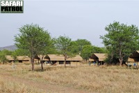 Kati Kati Tented Camp #4. (Serengeti National Park, Tanzania)