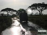 Safarijeep. (Seronera i centrala Serengeti National Park, Tanzania)
