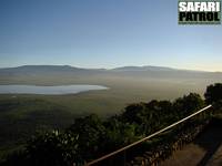 Ngorongorokratern sedd från Ngorongoro Wildlife Lodge uppe på kraterkanten. (Ngorongorokratern, Tanzania)