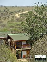 Seronera Wildlife Lodge. (Serengeti National Park, Tanzania)