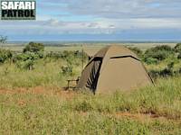Mobil camp på privat mark vid parkgränsen. (Tarangire National Park, Tanzania)