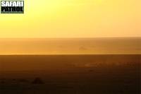 Soluppgång. (Moru Kopjes i södra Serengeti National Park, Tanzania)