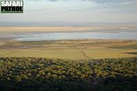 Lake Manyara National Park. (Lake Manyara Wildlife Lodge, Tanzania)