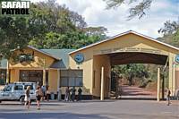 Parkentrén vid Lodoare Gate – här börjar bushen. (Ngorongoro Conservation Area, Tanzania)