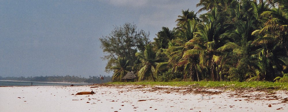 Diani Beach söder om Mombasa.