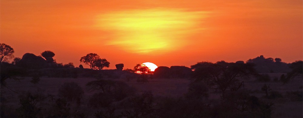 Soluppgång i Moru Kopjes i Serengeti. 