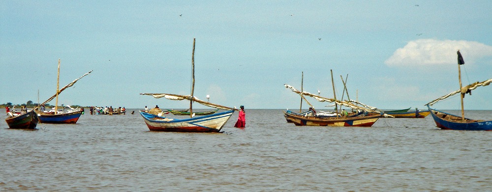 Fiskebåtar i södra Victoriasjön.