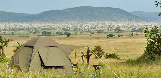 David's Camp i Serengeti.