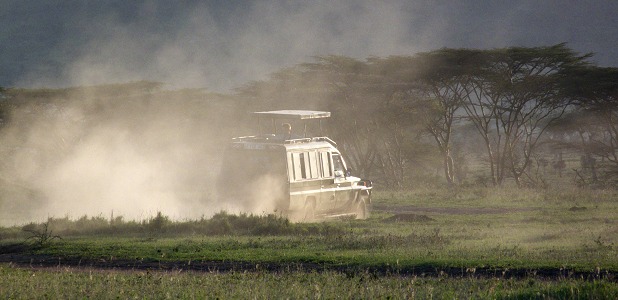 Dammig bushväg genom Serengeti.