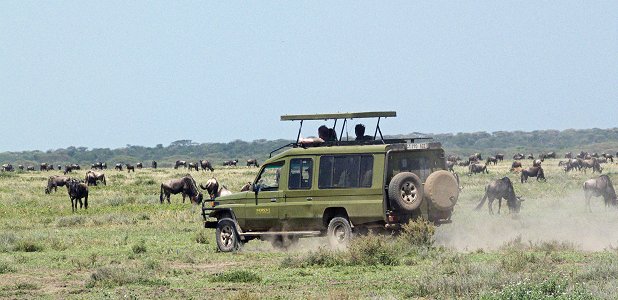 Djurskådning i sydligaste Serengeti.
