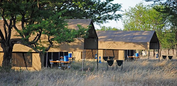 Kati Kati, bushnära tältcamp i Serengeti.